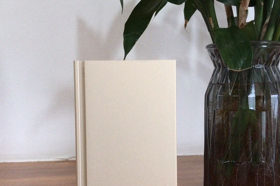 अच्छी कीमत 900 टन की मासिक आपूर्ति क्षमता के साथ मनुल ऑक्सीकरण उत्पादन लाइन ऑनलाइन